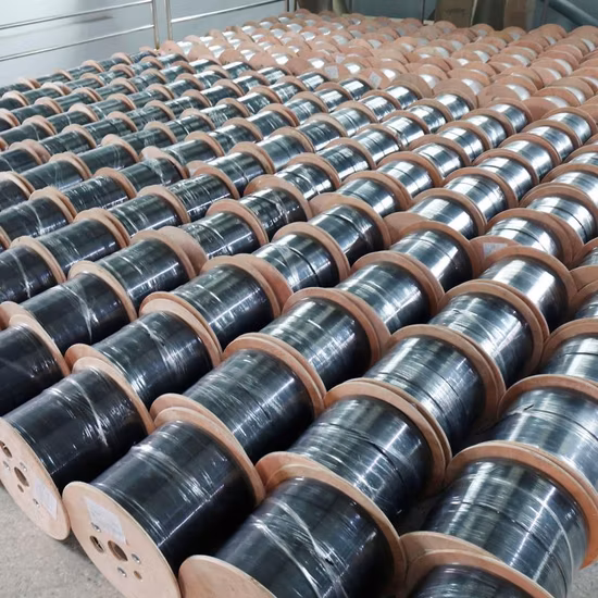 FTTH Bow-Type Fiber Optic Drop Cable G652D Sc-Sc Sm 9/125 Fiber Optic Patchcord